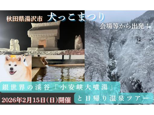 【秋田・湯沢】銀世界の渓谷「小安峡大噴湯」と日帰り温泉ツアー（秋田犬とのふれあい付き！）in 犬っこまつり2日目限定の画像