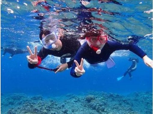 【沖縄県 ケラマ諸島 座間味島】午前も午後で4ポイントも楽しめる ボートシュノーケリング1日コースの画像