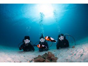 学割！【沖縄北部・水納島・瀬底島 】ボート体験ダイビング2ダイブ 初心者大歓迎！写真・動画無料プレゼント！