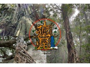 【鹿児島・奄美大島】完全貸し切り！半日ツアー　世界遺産の奄美大島で神秘の原生林でトレッキング　ケンムン宿る巨木を巡る大冒険ツアー！