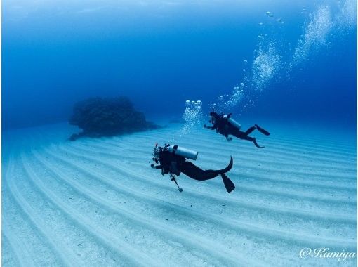 【国立公園慶良間諸島】NAUIオープンウォーター取得コース｜２日間４ダイブ｜4名様以上の参加OK｜事前学習あり｜少人数で安心サポートの画像