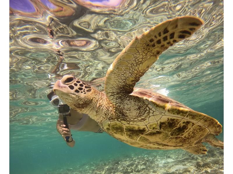 【北海道・SUP体験】透明度の高い支笏湖の湖面をクルージング！SUP体験（半日コース）の画像