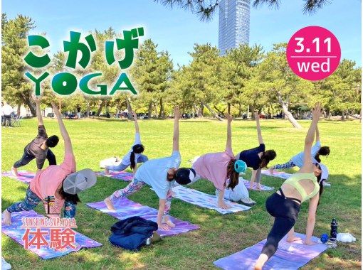 ★2026/3/11(水)限定★【滋賀・琵琶湖】FUNG SIU KEI様　木陰ヨガの画像