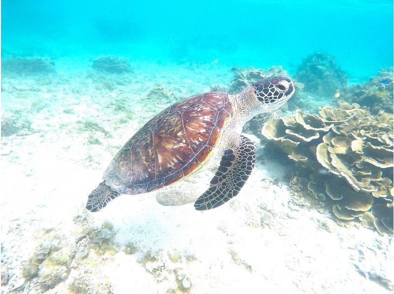 【北海道・SUP体験】透明度の高い支笏湖の湖面をクルージング！SUP体験（半日コース）の画像
