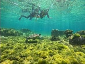 冬用ウエットスーツ無料レンタル！【ジョン万ビーチ】ウミガメや熱帯魚が楽しめるシュノーケリング！写真データ＆餌やり無料