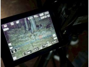 【宮崎・鹿児島／えびの高原】初心者向け・夜の山歩き★えびの高原ナイトハイク