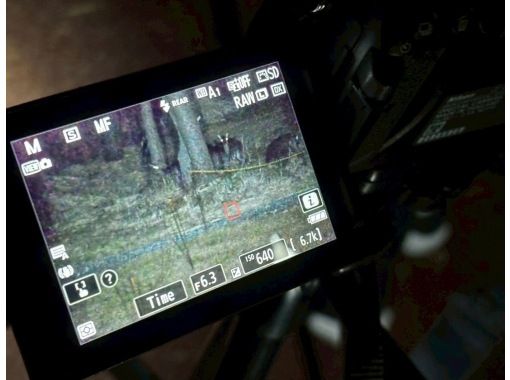 【宮崎・鹿児島／えびの高原】初心者向け・夜の山歩き★えびの高原ナイトハイクの画像