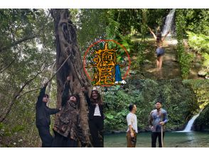 【奄美大島　秘境大冒険ツアー】完全貸し切り！　世界遺産の森の魅力詰め合わせ！　生命の巨木トレッキングと神秘の滝で川遊び！