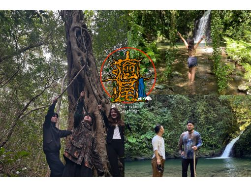 【奄美大島　秘境大冒険ツアー】完全貸し切り！　世界遺産の森の魅力詰め合わせ！　生命の巨木トレッキングと神秘の滝で川遊び！の画像