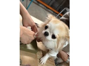 安冨白土瓦（淡路島かわらや）