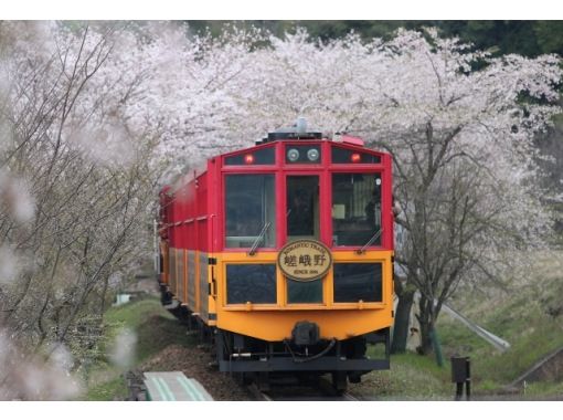 【京都駅発着】春の嵐山散策と絶景嵯峨野トロッコ列車と保津川下りの画像