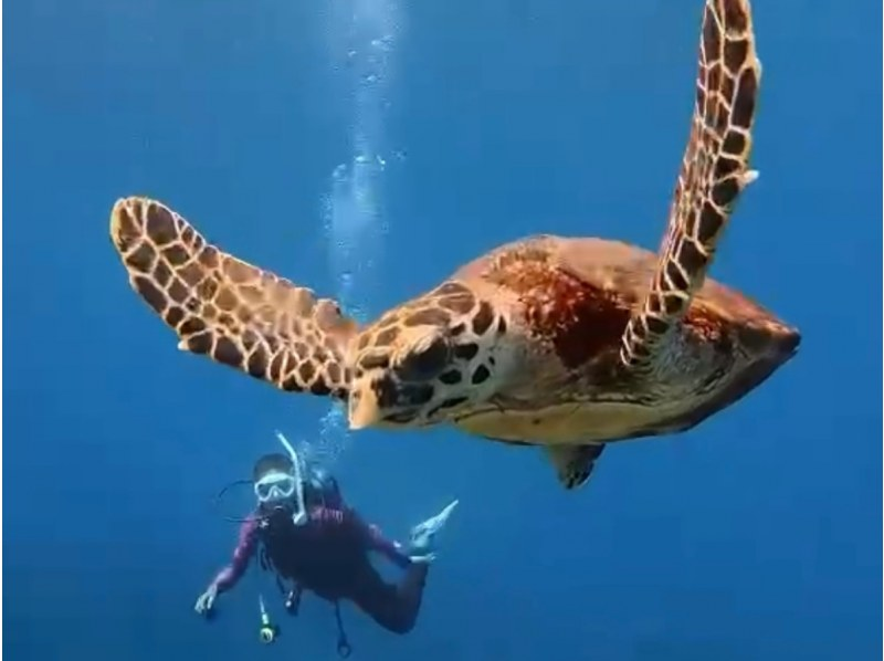 【北海道・SUP体験】透明度の高い支笏湖の湖面をクルージング！SUP体験（半日コース）の画像
