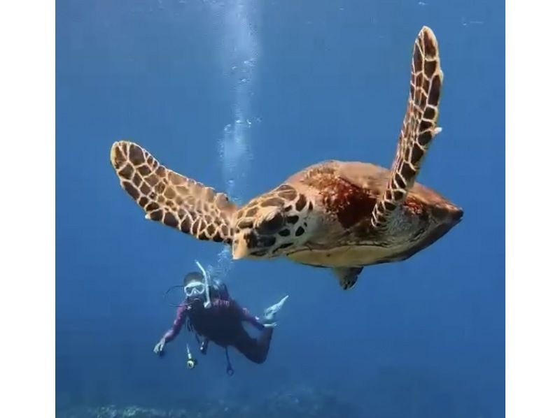【北海道・SUP体験】透明度の高い支笏湖の湖面をクルージング！SUP体験（半日コース）の画像