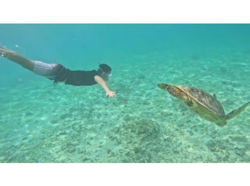 [Kagoshima Prefecture, Amami Oshima] Graduation Trip Special - Sea Turtle Snorkeling + Kazbo Burger Lunch (No. 1 on Tabelog)の画像