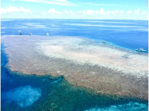 【오키나와 미야코지마】1일 10조 한정! 비경 야에 간세(야비지)로 반나절 체험 다이빙 & 스노클! 대인기 투어! <수중 사진, 픽업 무료 서비스! 〉の画像