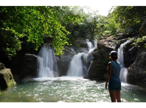 [Okinawa, Iriomote Island] A half-day but intense experience! Jungle trekking tour [Half-day trekking]の画像