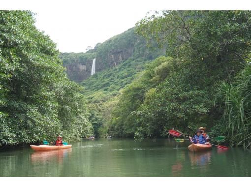 [Okinawa, Iriomote Island] Pinaisara Falls 1-day tour [Kayaking and trekking]の画像
