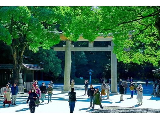 【東京・原宿】明治神宮のツアー！都会から休憩をとって自然に囲まれてゆっくりと歩きましょう！（原宿駅から1分）の画像