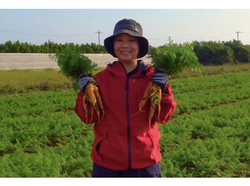【沖縄・津堅島】キャロットアイランドと呼ばれる離島・津堅島で名産のにんじんを農業収穫体験！の画像