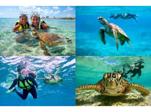 ＼ウミガメ完全制覇／ウミガメと2回泳ごうシュノーケルツアー｜再チャレンジ無料保証｜GoPro写真＆動画無料｜温水シャワー、ドライヤー完備♡の画像