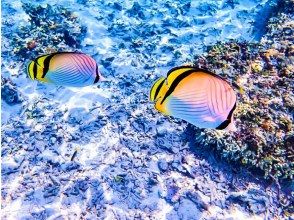 【沖縄北部・本部町】２時間でさくっと！ビーチシュノーケリング 初心者歓迎・少人数制 サンゴ礁・熱帯魚の海を満喫 写真データサービス