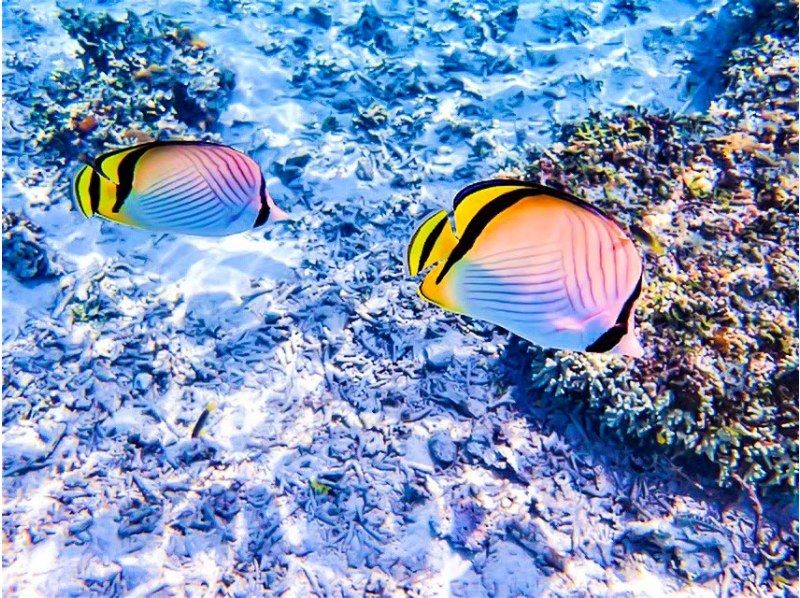 【北海道・SUP体験】透明度の高い支笏湖の湖面をクルージング！SUP体験（半日コース）の画像