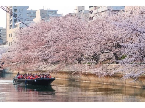 【東京・門前仲町】お花見クルーズ＆護摩祈祷見学｜春限定ツアーの画像