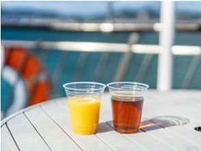 THE KOBECRUISE  ルミナス神戸２