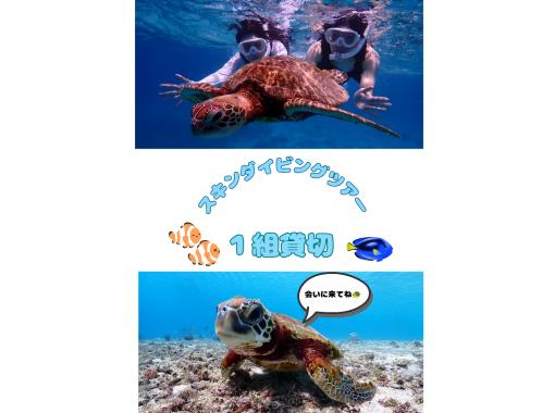 【宮古島/１組貸切】★スキンダイビング★ウミガメと泳げるシュノーケリングツアー！遭遇率100%継続中！ウミガメ・ニモ・珊瑚全部をご案内！！の画像