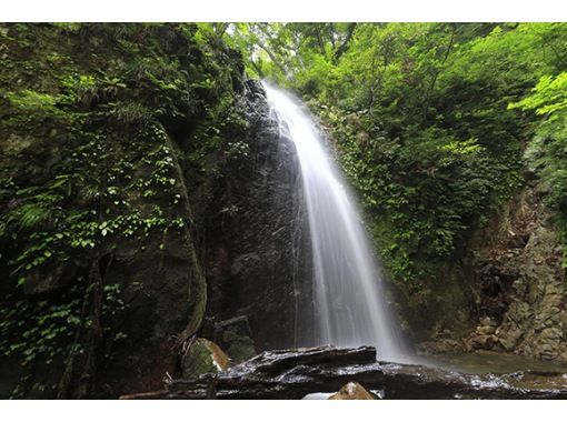 【福井・若狭美浜】新庄修験道トレッキングツアー　～屏風ヶ滝を目指して～の画像