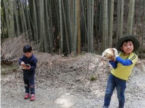 【京都・木津川】筍狩りとピザ焼きイベント