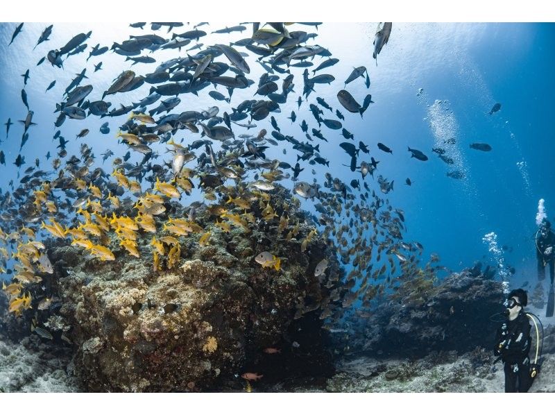 【北海道・SUP体験】透明度の高い支笏湖の湖面をクルージング！SUP体験（半日コース）の画像