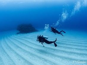 【慶良間諸島】PADIオープンウォーター取得コース｜２日間４ダイブ｜2名様～3名様の参加OK｜事前学習あり｜少人数で安心サポート