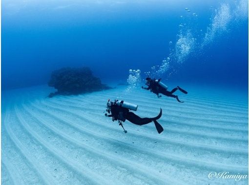 【慶良間諸島】PADIオープンウォーター取得コース｜２日間４ダイブ｜2名様～3名様の参加OK｜事前学習あり｜少人数で安心サポートの画像