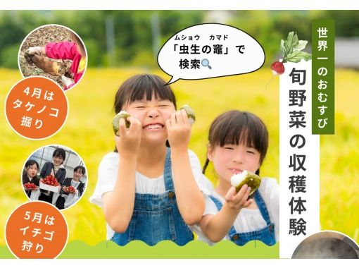 【千葉・九十九里】かまど炊き「世界一のおむすび」食べ放題と旬の収穫体験4回分セット！　タケノコ、いちご、玉ねぎ、トウモロコ（4月〜7月開催）の画像