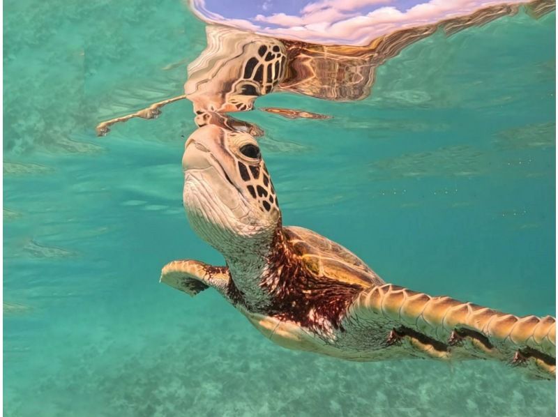 【北海道・SUP体験】透明度の高い支笏湖の湖面をクルージング！SUP体験（半日コース）の画像