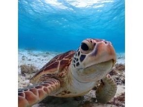 【宮古島】〈ウミガメ探索シュノーケリング 〉60歳～75歳の方だけの安心ツアー！【写真データ/レンタル無料】直前予約OK！