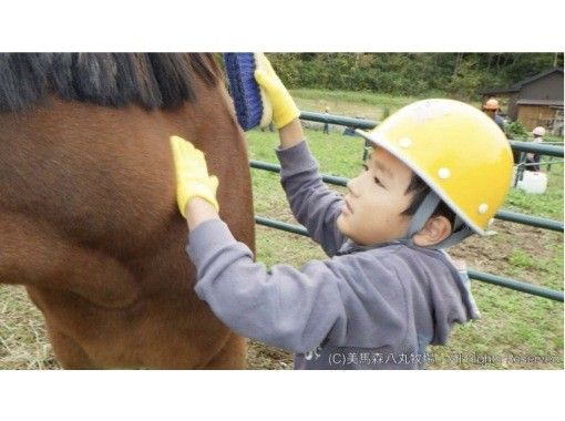 【宮城・奥松島】牧場体験プログラム　自然豊かな牧場で馬たちのお世話体験！の画像