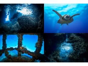 【沖縄・宮古島】地形もワイドもマクロも宮古島の海をまるごと楽しもう！ファンダイビング（３ダイブ/ライセンス必須）