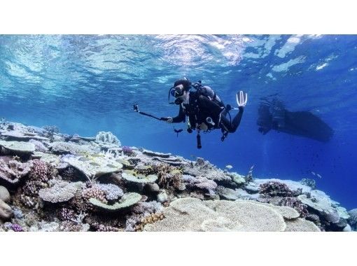 【沖縄北部・瀬底島・水納島】FUNダイビング2ボートプラン！初心者・ブランクダイバーにおすすめ！思い出に残る水中写真無料プレゼント☆の画像