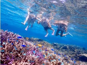 【沖縄・宮古島】八重干瀬ボートシュノーケリング☆OPEN記念により子供料金半額☆ドローン水中撮影無料プレゼント！