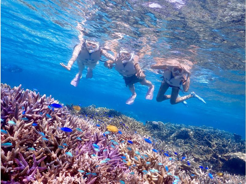 【北海道・SUP体験】透明度の高い支笏湖の湖面をクルージング！SUP体験（半日コース）の画像