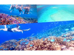 【沖縄・宮古島】八重干瀬ボートシュノーケリング☆OPEN記念により子供料金半額☆ドローン水中撮影無料プレゼント！