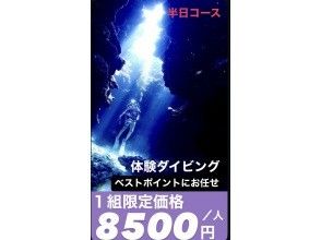 【たった8,500円！この価格で？？】半日・完全初心者向け 体験ダイビング｜とにかくお任せ｜石垣島