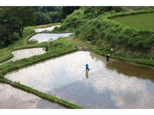 十日町里山ウォーキング　儀明・蒲生の棚田コースの画像