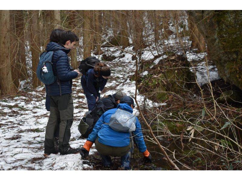 【北海道・SUP体験】透明度の高い支笏湖の湖面をクルージング！SUP体験（半日コース）の画像