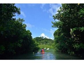 【沖縄北部・東村】マングローブカヌーツアー＜ロングコース＞