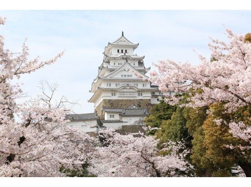 姫路城見学＆姫路城下町サイクリングの画像
