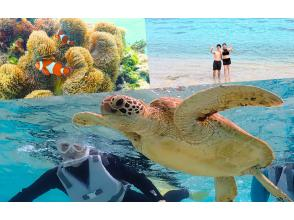 ウミガメ遭遇率100%☆１組限定プライベート空間☆ドローン水中撮影無料プレゼント！ウミガメシュノーケル〜OPEN記念特典有り〜