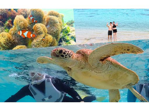 【宮古島｜ウミガメシュノーケル｜１組貸切】遭遇率100%継続中☆ドローン撮影無料プレゼント☆〜OPEN記念特典有り〜の画像